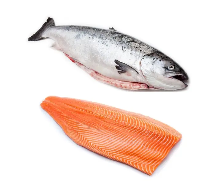 Salmon Hero baner Image